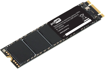 Накопитель SSD PC Pet SATA-III 256GB PCPS256G109