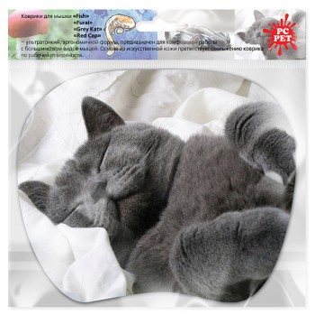 MP-TOM TURBO (Grey cat)