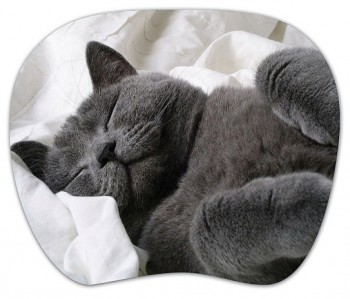 MP-TOM TURBO (Grey cat)