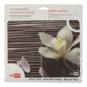 AM02 Orchids